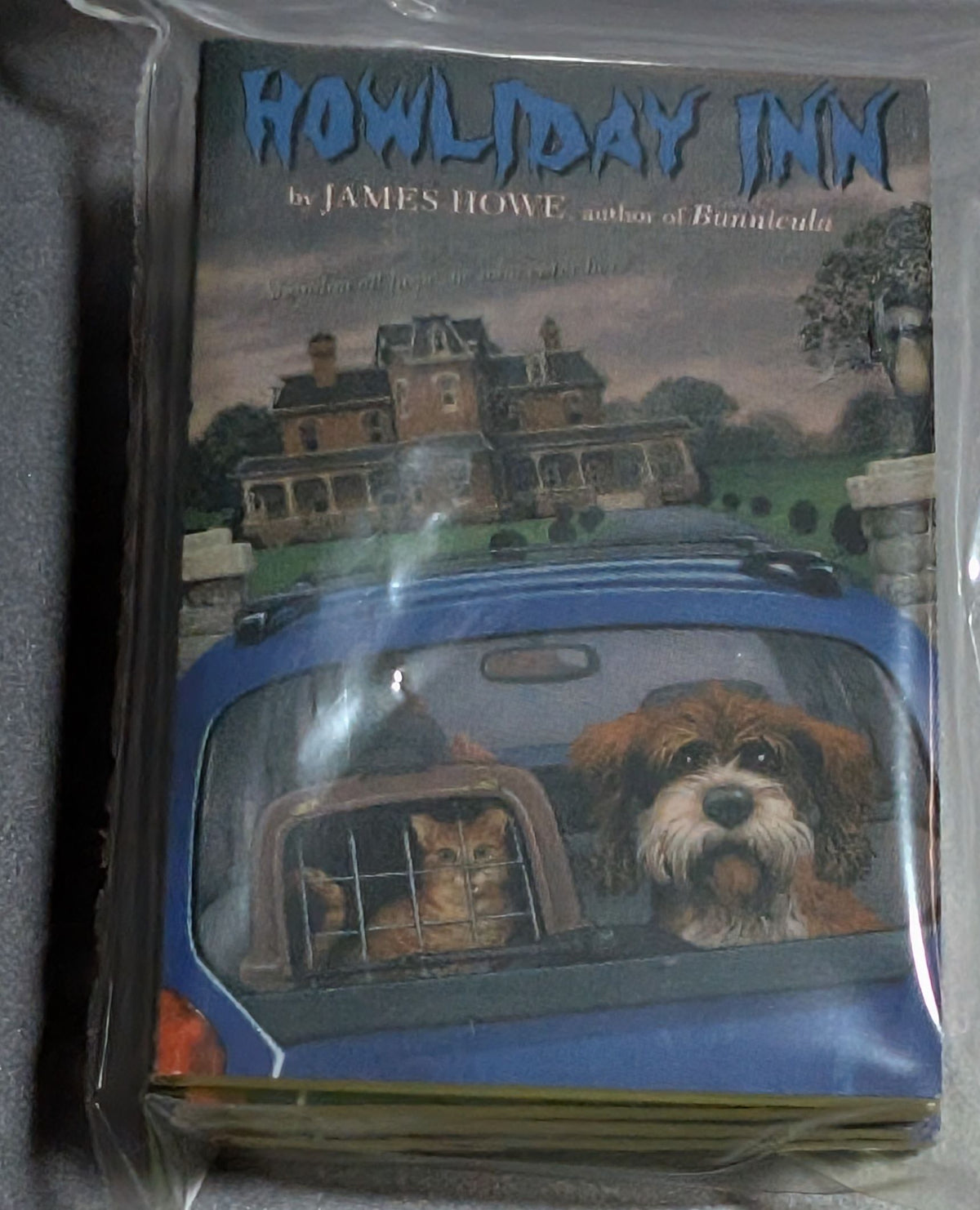 Howliday inn