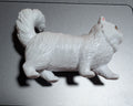 White cat