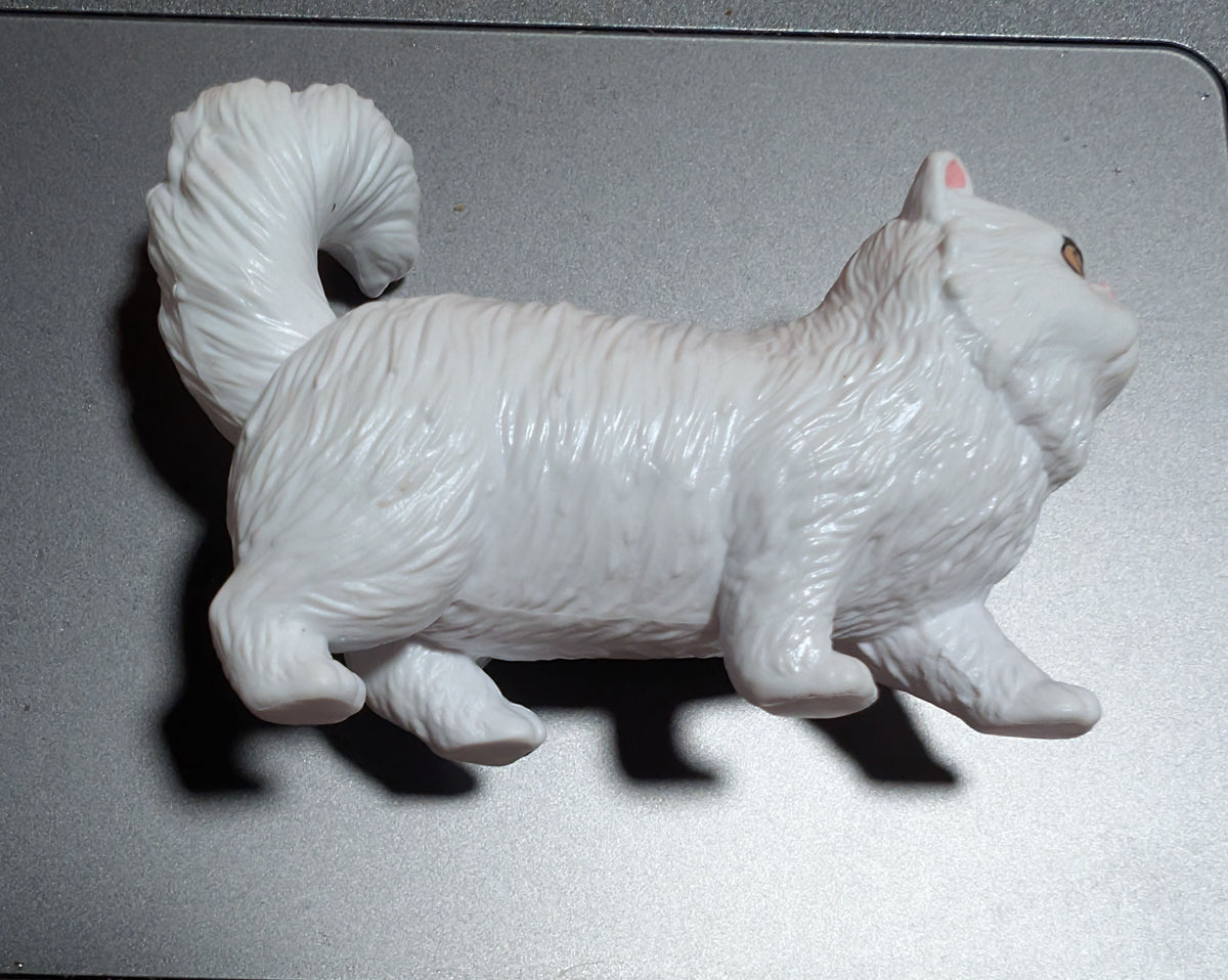 White cat