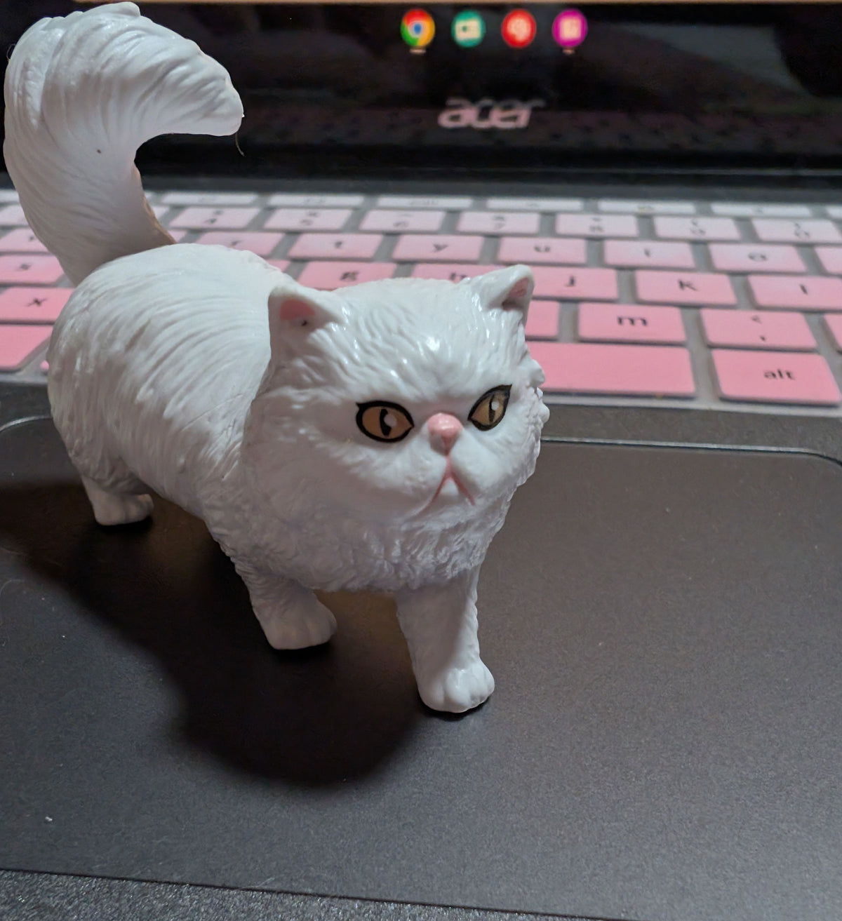 White cat