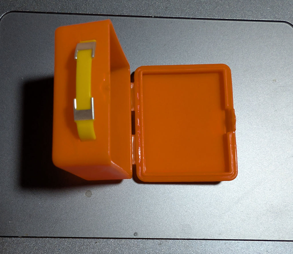 Big bird lunch box