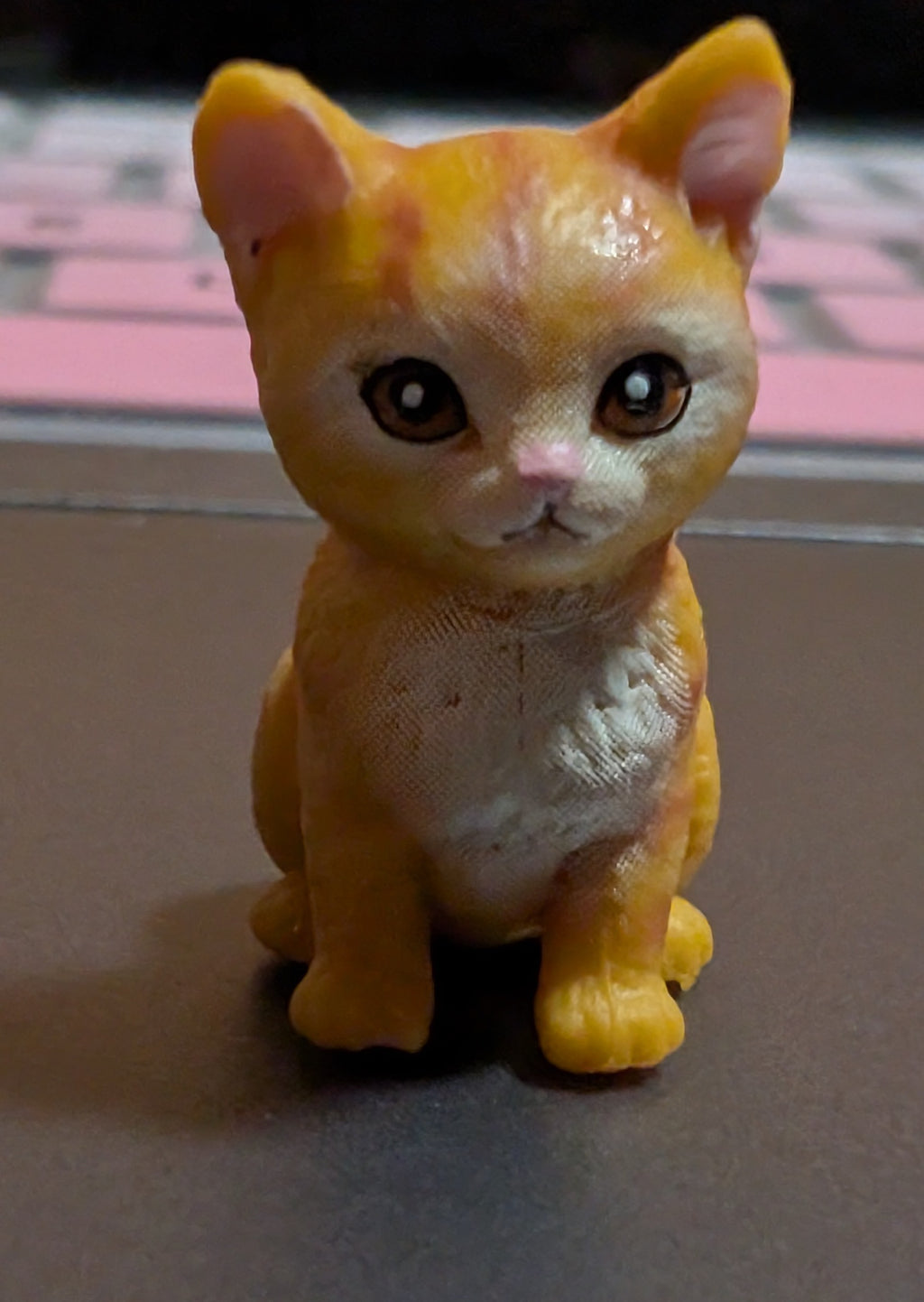 Orange cat