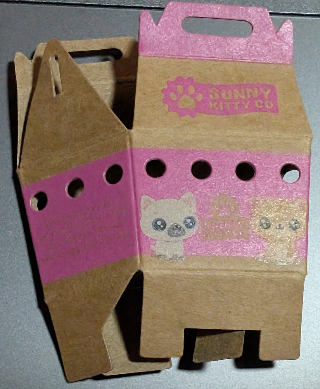 Cat carrying box