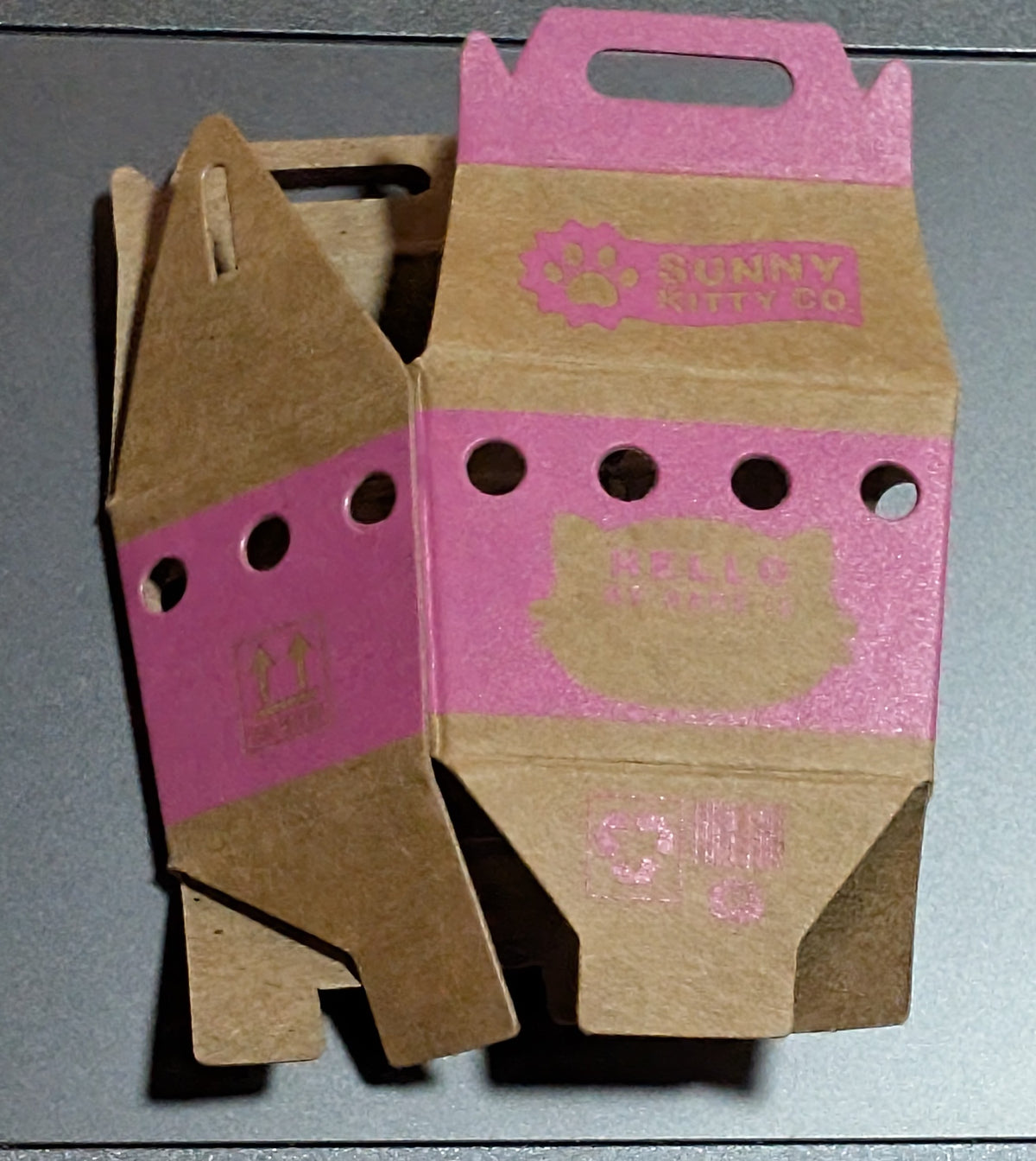 Cat carrying box