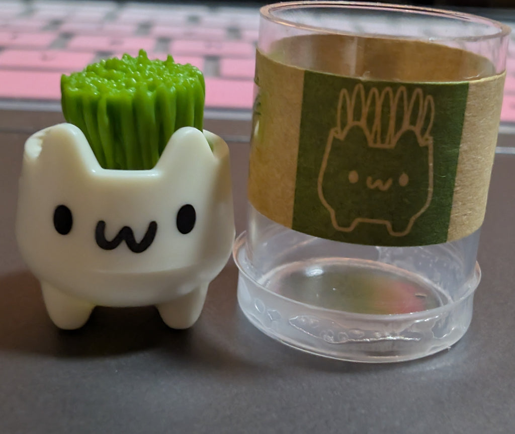 Cat grass
