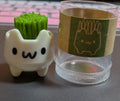 Cat grass