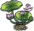 Lily Pad Plant