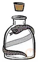 Snake jar
