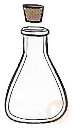 Conical flask with cork