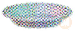 Pie Tin (Silver)