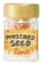 Mustard Seeds