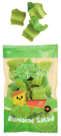 Romaine Lettuce