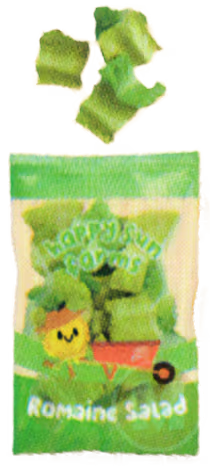 Romaine Lettuce
