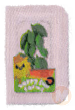 Basil Leaves