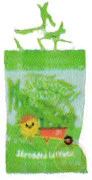 Shredded Lettuce