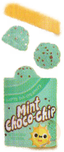 Mint Chocolate Chip Ice Cream