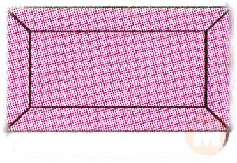 Rectangular Plate (Pink)