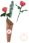 Rose Duo
