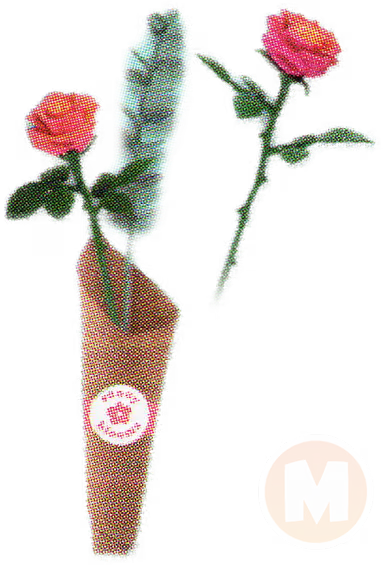 Rose Duo