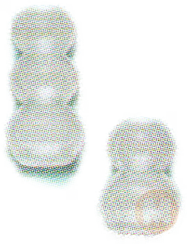 Bubble Vase Duo