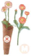 Poppies (Pink)