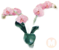 Pink Orchid