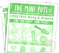 Newspaper (Pots & Plants)