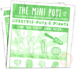 Newspaper (Pots & Plants)