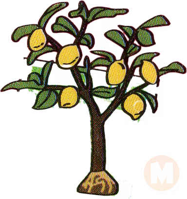 Lemon tree