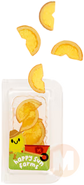 Orange Slices