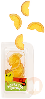 Orange Slices