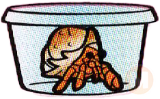 Hermit crab