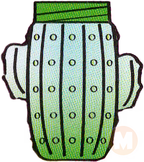 Cactus cup