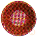 small saucer