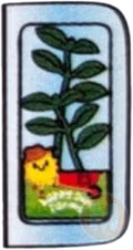 Basil
