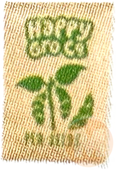 Pea seeds