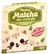 Matcha ice cream cat