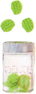 Pickles in conatiner