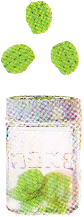 Pickles in conatiner