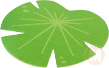 Lilly pad