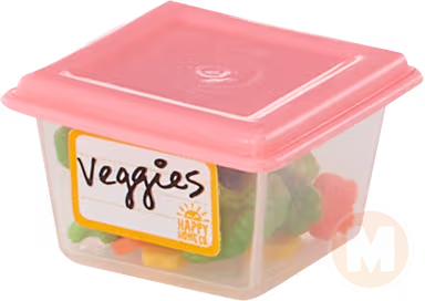 veggie box with pink lid