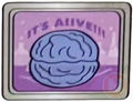 brain with mold