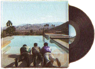 "Minibrands records" sucker