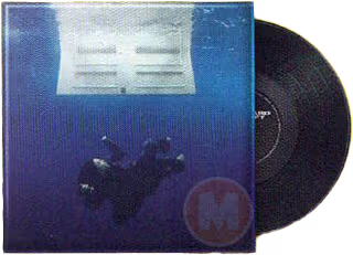 "Minibrands records" birds of a feather