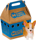 Corgi