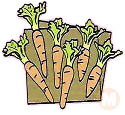 Carrots