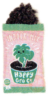 Indoor Mix